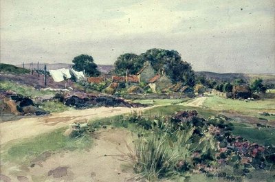 Villaggio di Goatland da Wilfrid Williams Ball